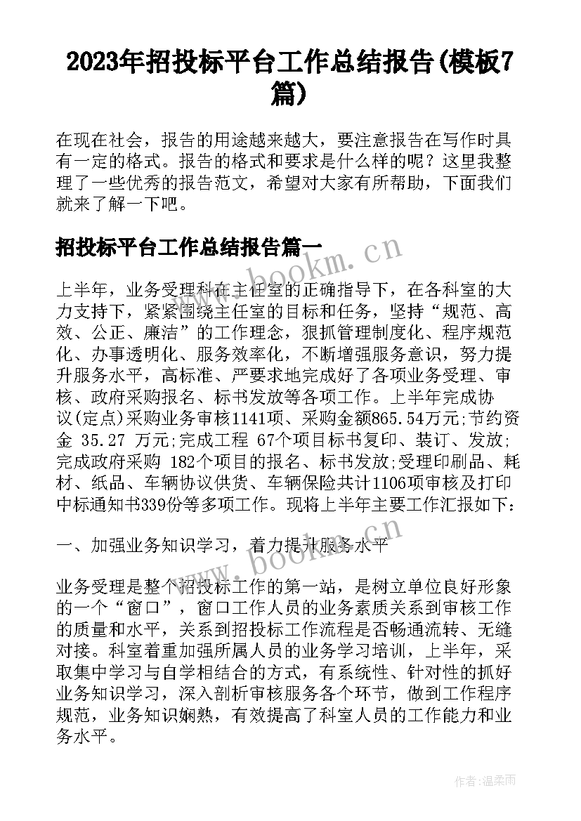 2023年招投标平台工作总结报告(模板7篇)