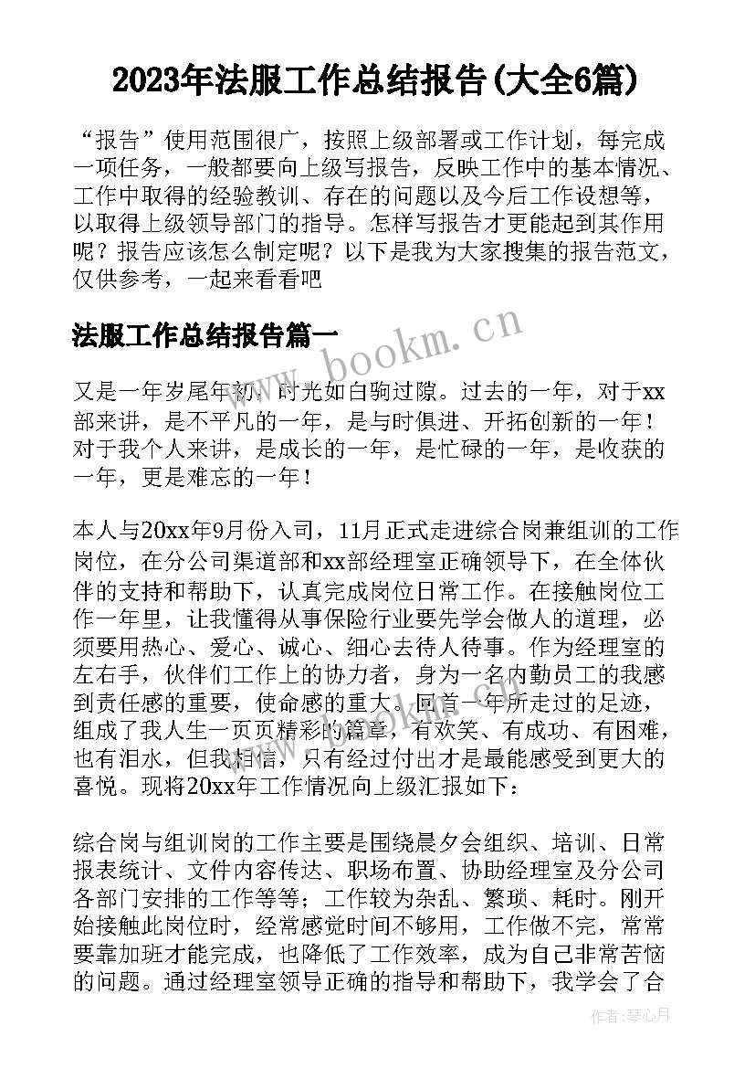 2023年法服工作总结报告(大全6篇)