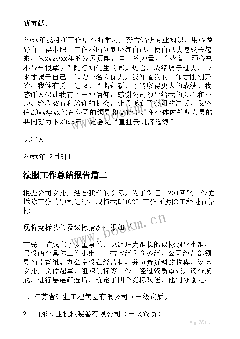 2023年法服工作总结报告(大全6篇)