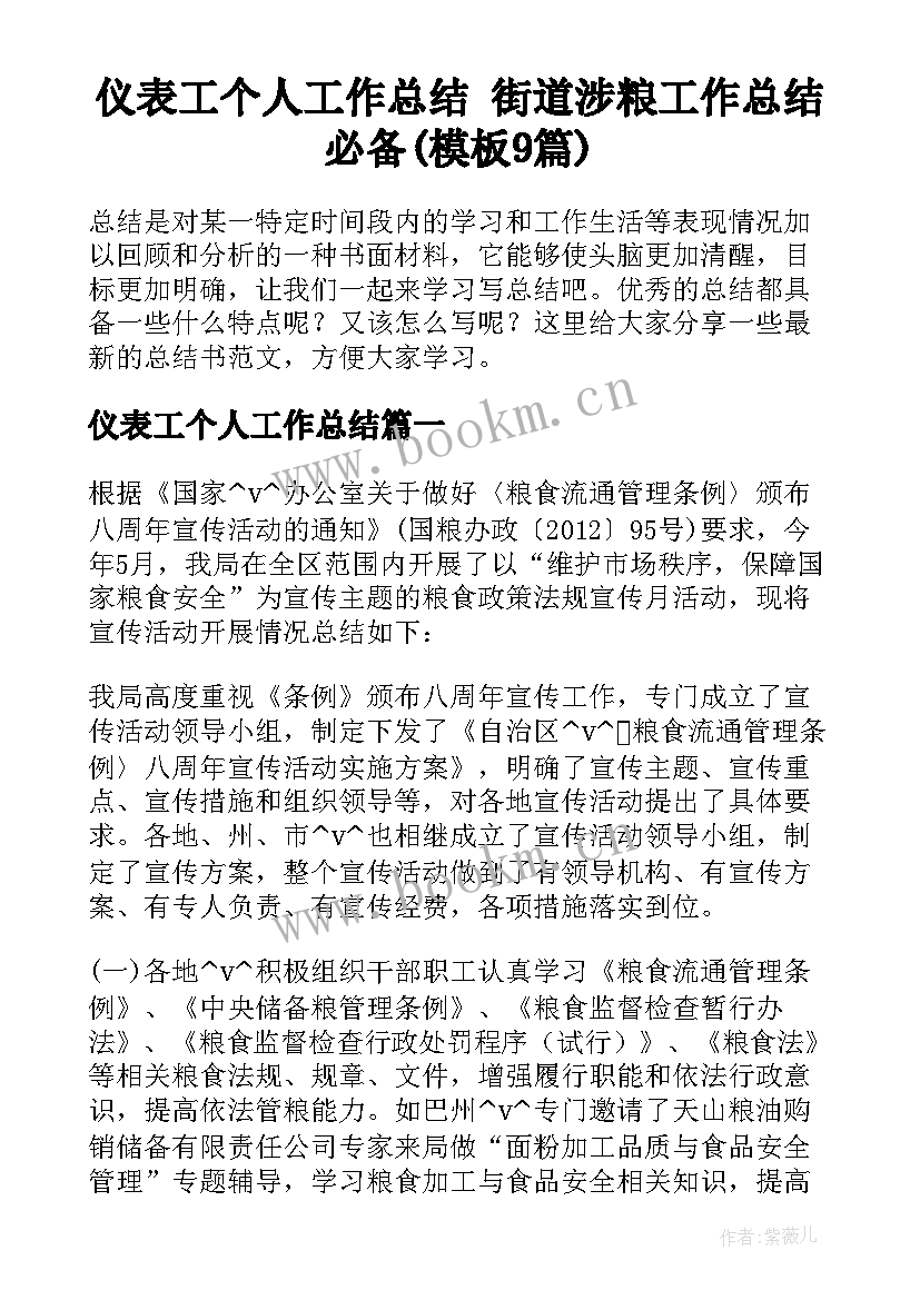 仪表工个人工作总结 街道涉粮工作总结必备(模板9篇)