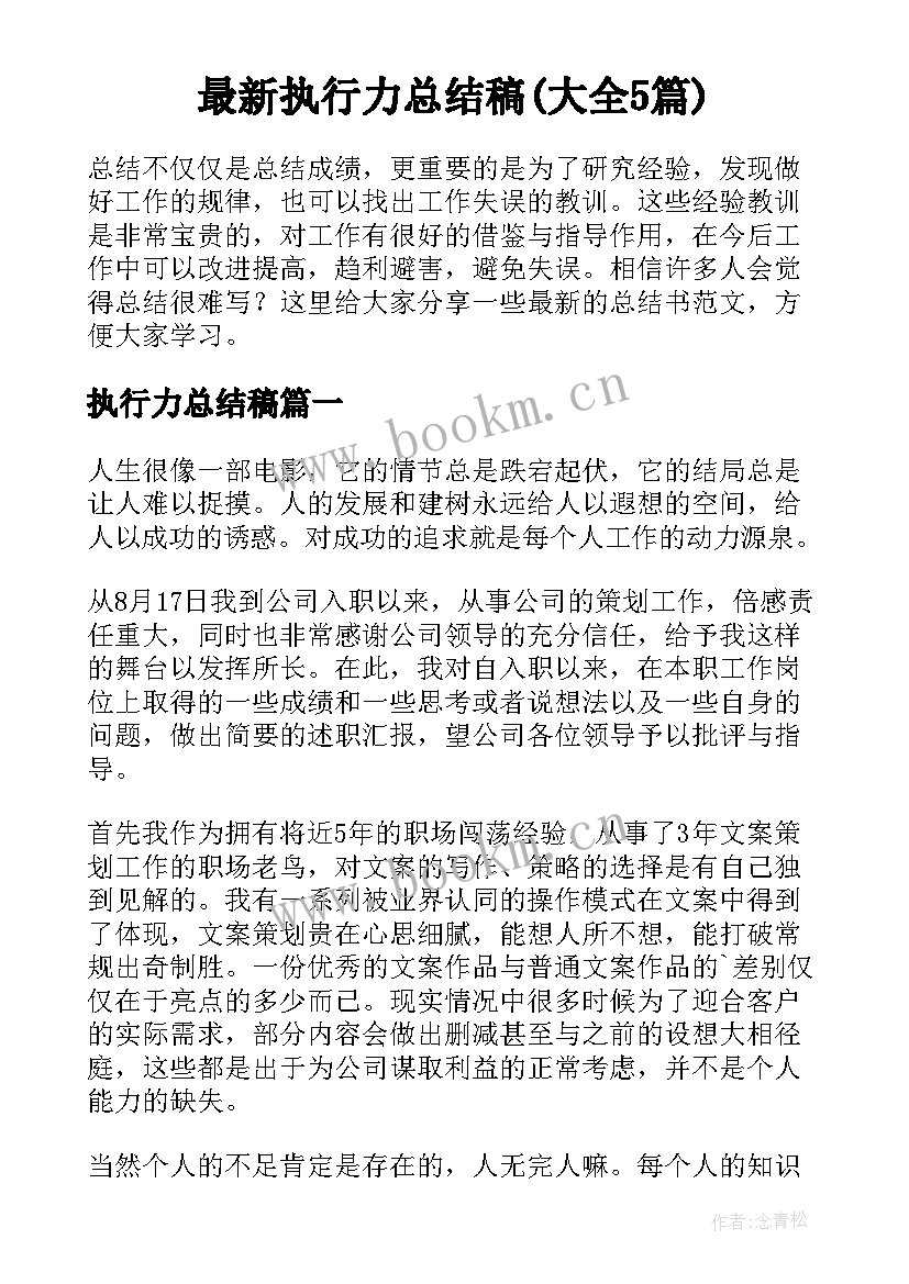 最新执行力总结稿(大全5篇)