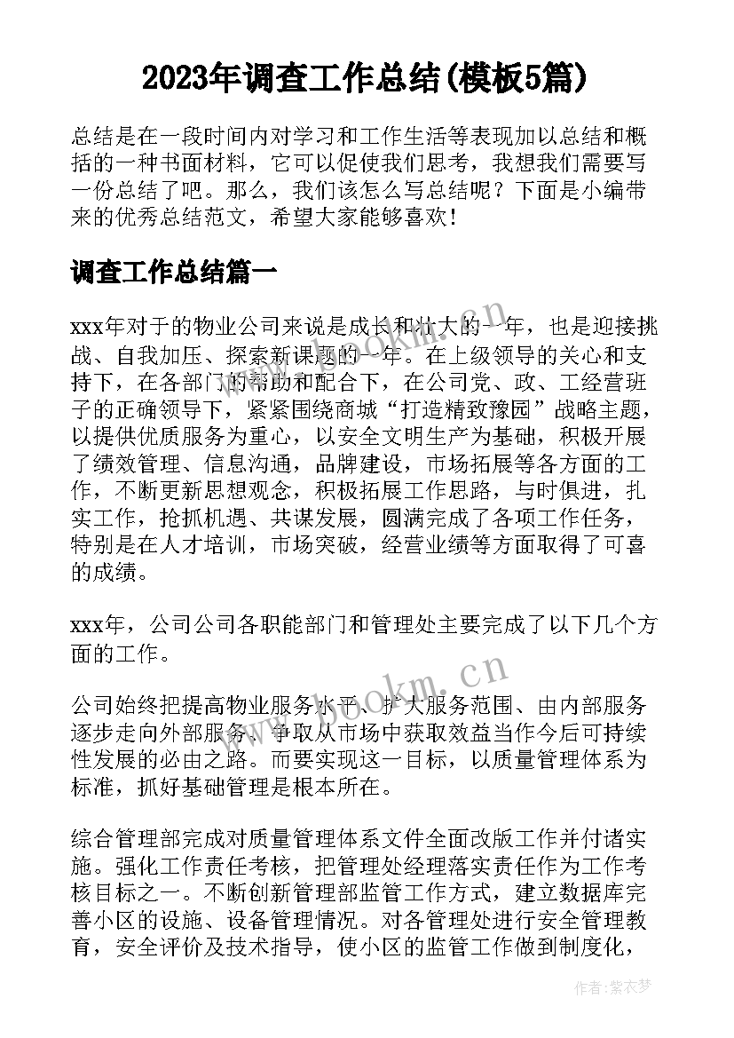 2023年调查工作总结(模板5篇)