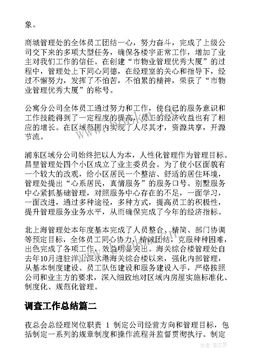 2023年调查工作总结(模板5篇)