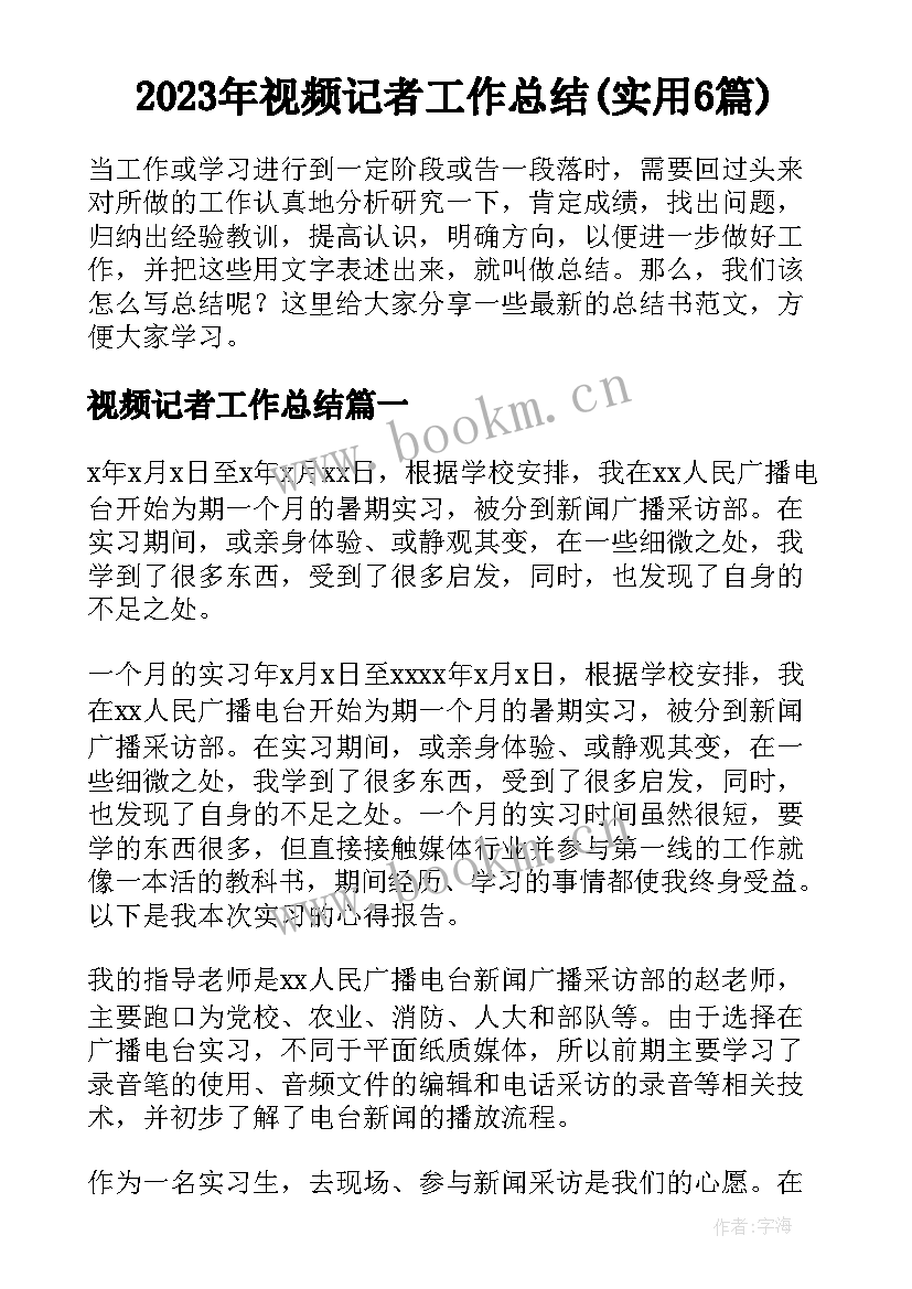 2023年视频记者工作总结(实用6篇)