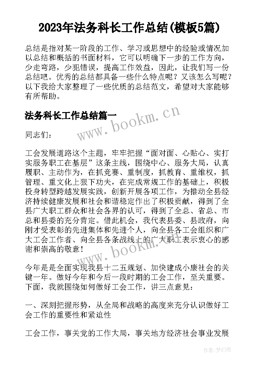 2023年法务科长工作总结(模板5篇)