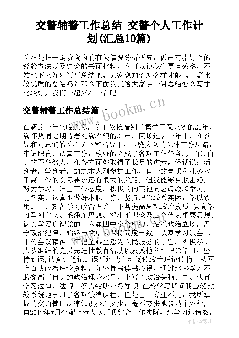 交警辅警工作总结 交警个人工作计划(汇总10篇)