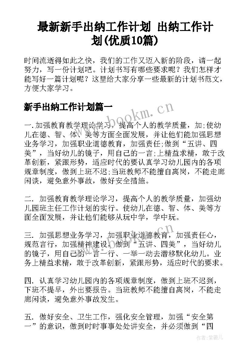 最新新手出纳工作计划 出纳工作计划(优质10篇)