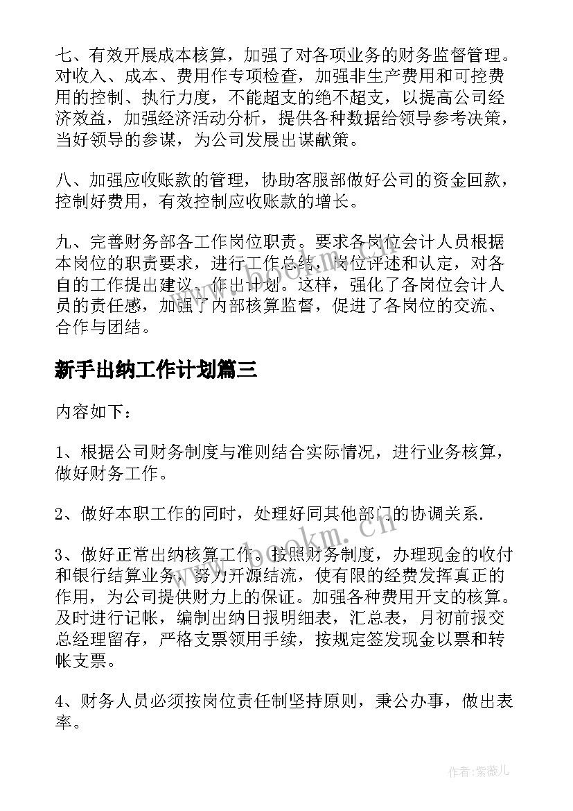 最新新手出纳工作计划 出纳工作计划(优质10篇)