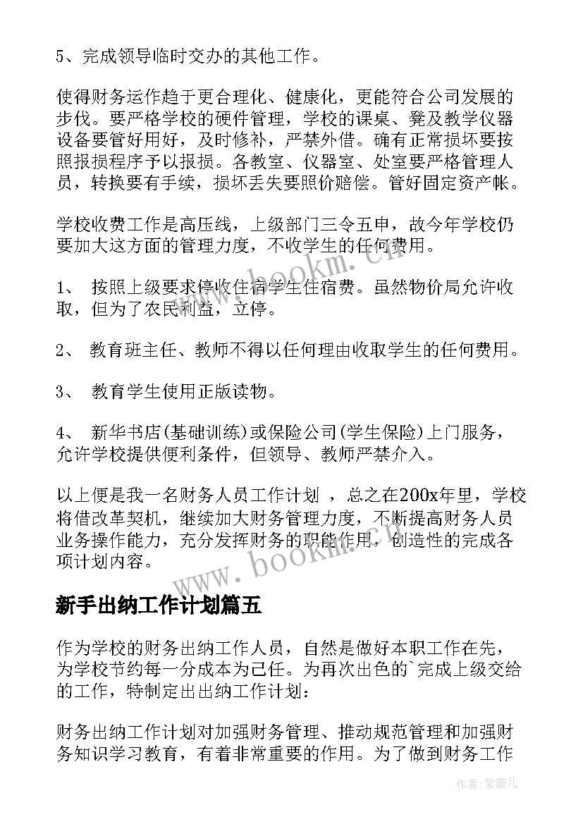 最新新手出纳工作计划 出纳工作计划(优质10篇)