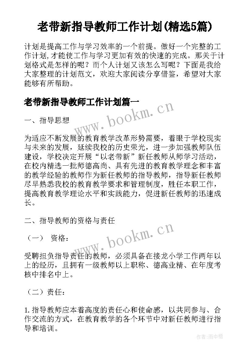 老带新指导教师工作计划(精选5篇)