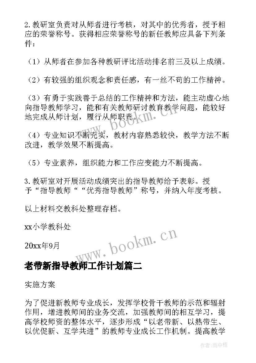 老带新指导教师工作计划(精选5篇)