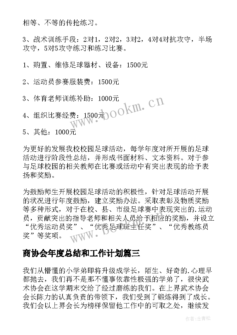 2023年商协会年度总结和工作计划(通用8篇)