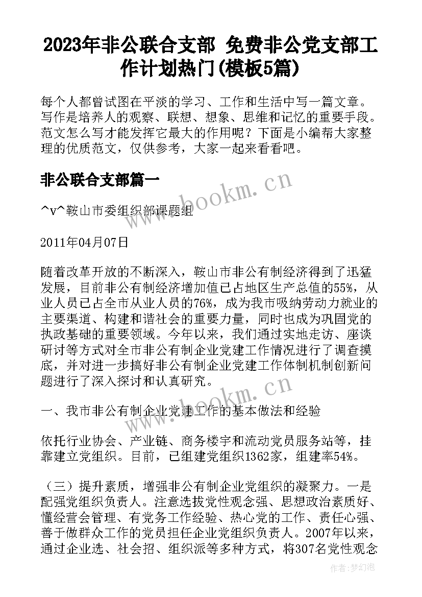 2023年非公联合支部 免费非公党支部工作计划热门(模板5篇)