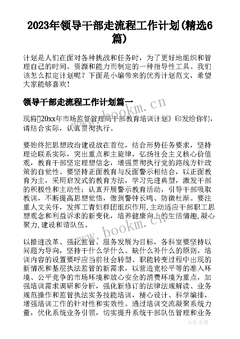 2023年领导干部走流程工作计划(精选6篇)