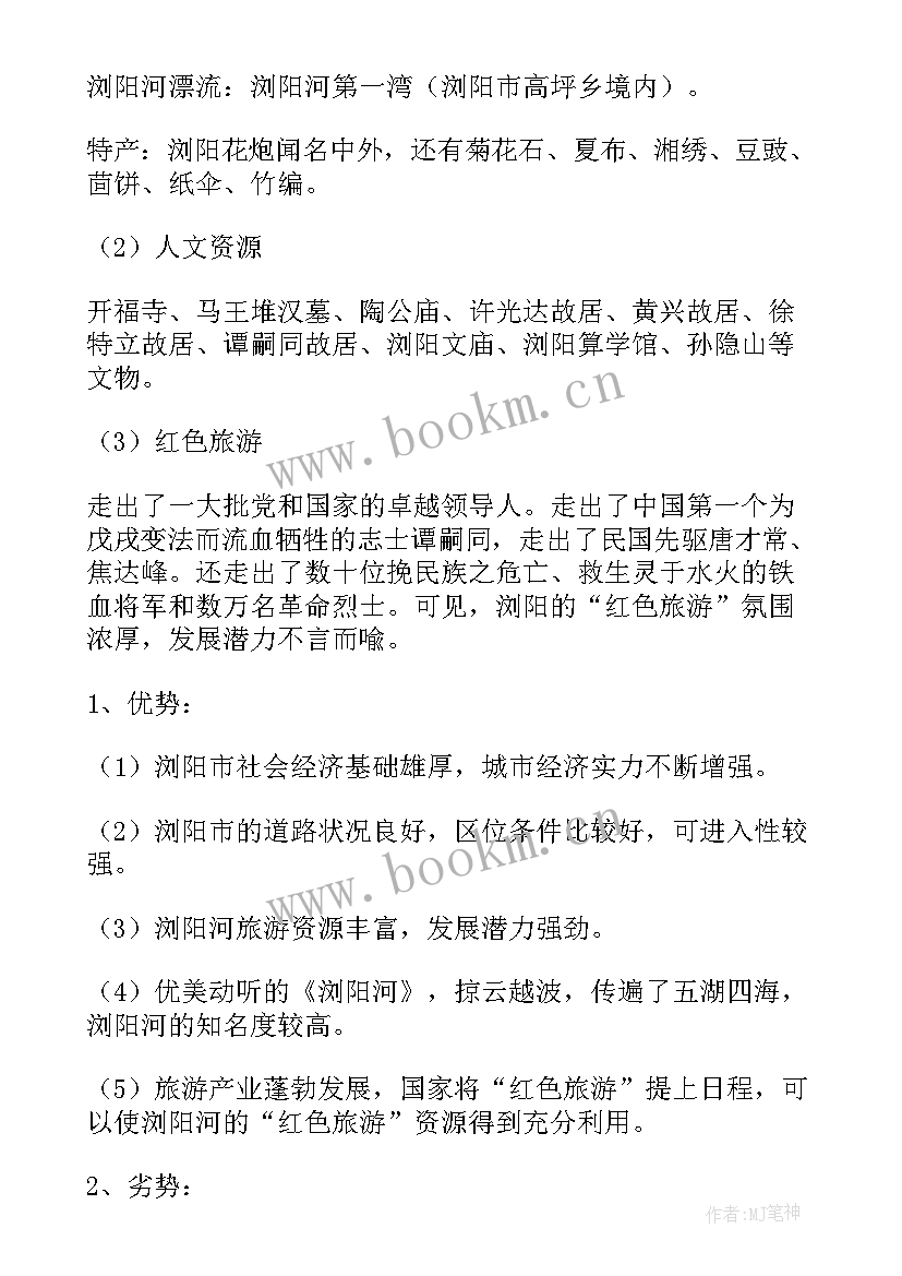 热气球项目优缺点分析 项目策划方案(优秀10篇)