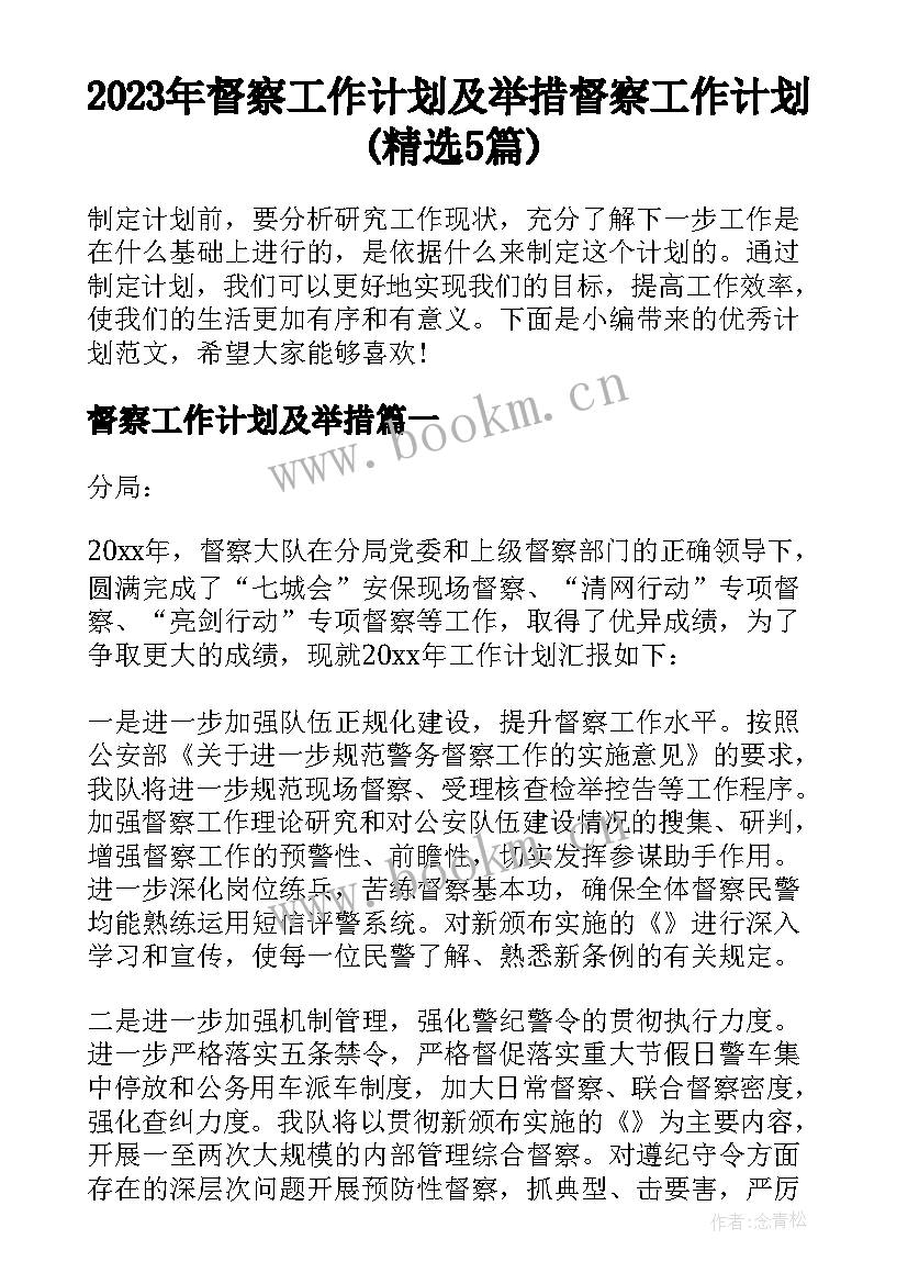 2023年督察工作计划及举措 督察工作计划(精选5篇)