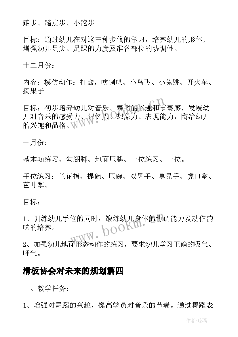 滑板协会对未来的规划(模板9篇)