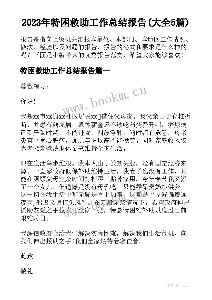 2023年特困救助工作总结报告(大全5篇)