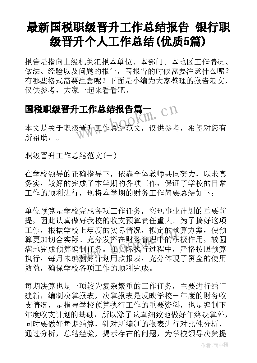 最新国税职级晋升工作总结报告 银行职级晋升个人工作总结(优质5篇)