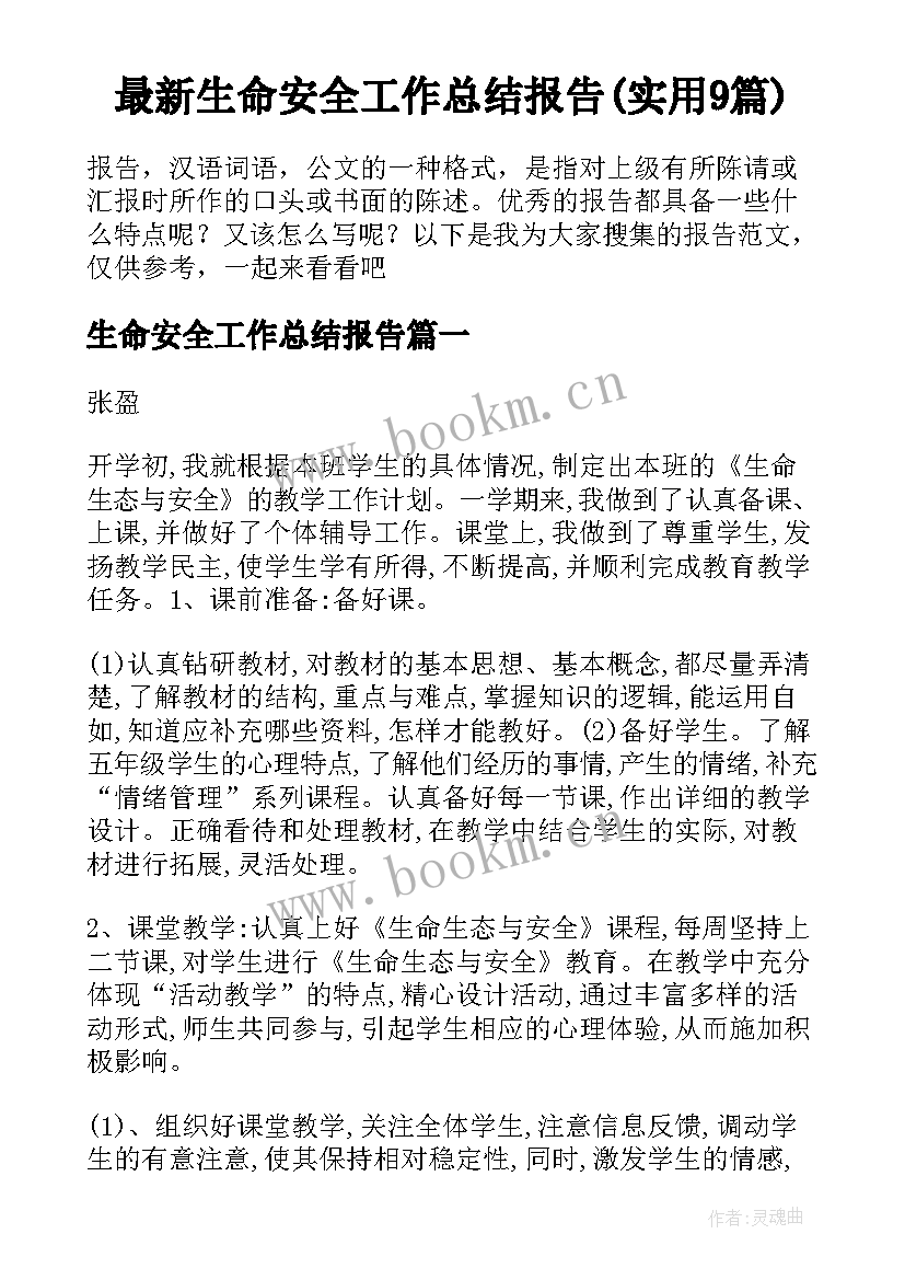 最新生命安全工作总结报告(实用9篇)