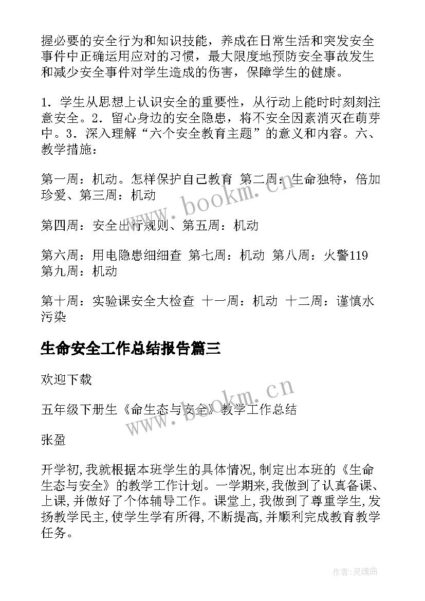 最新生命安全工作总结报告(实用9篇)