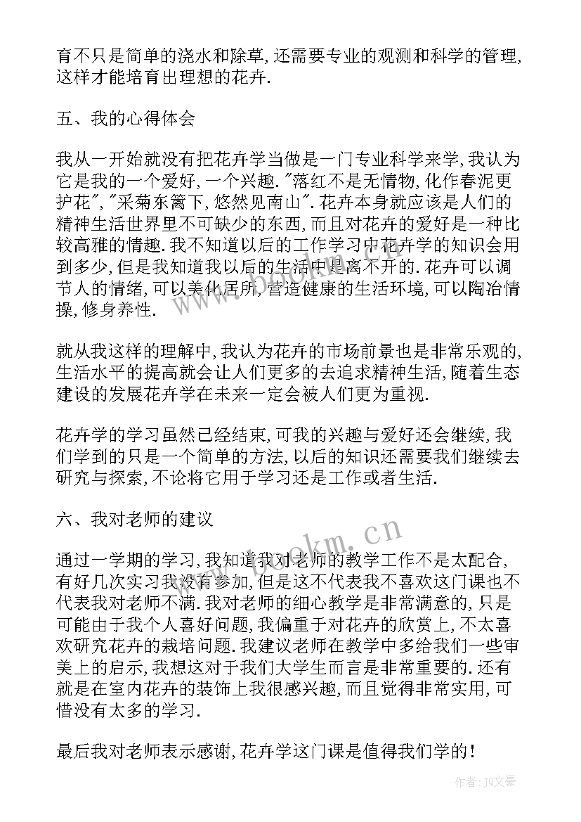 2023年花卉播种心得体会怎么写(实用5篇)