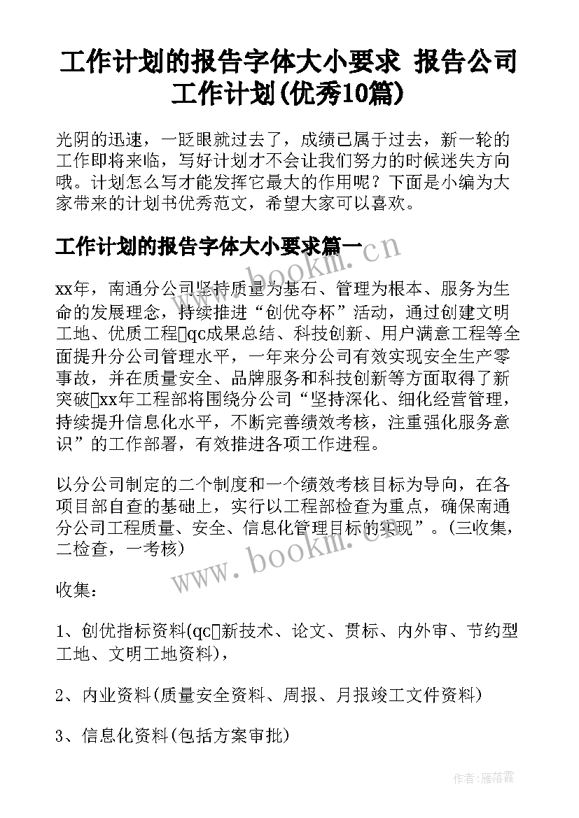 工作计划的报告字体大小要求 报告公司工作计划(优秀10篇)