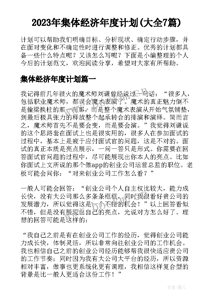 2023年集体经济年度计划(大全7篇)