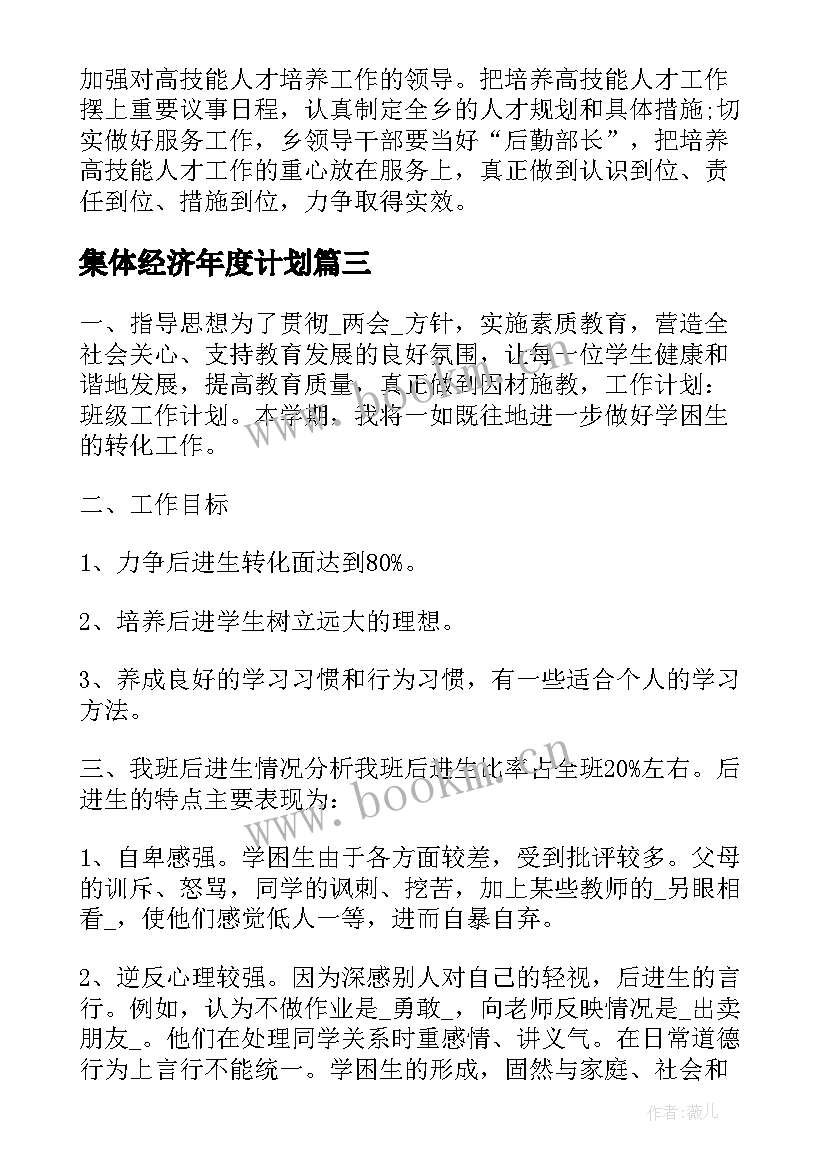 2023年集体经济年度计划(大全7篇)