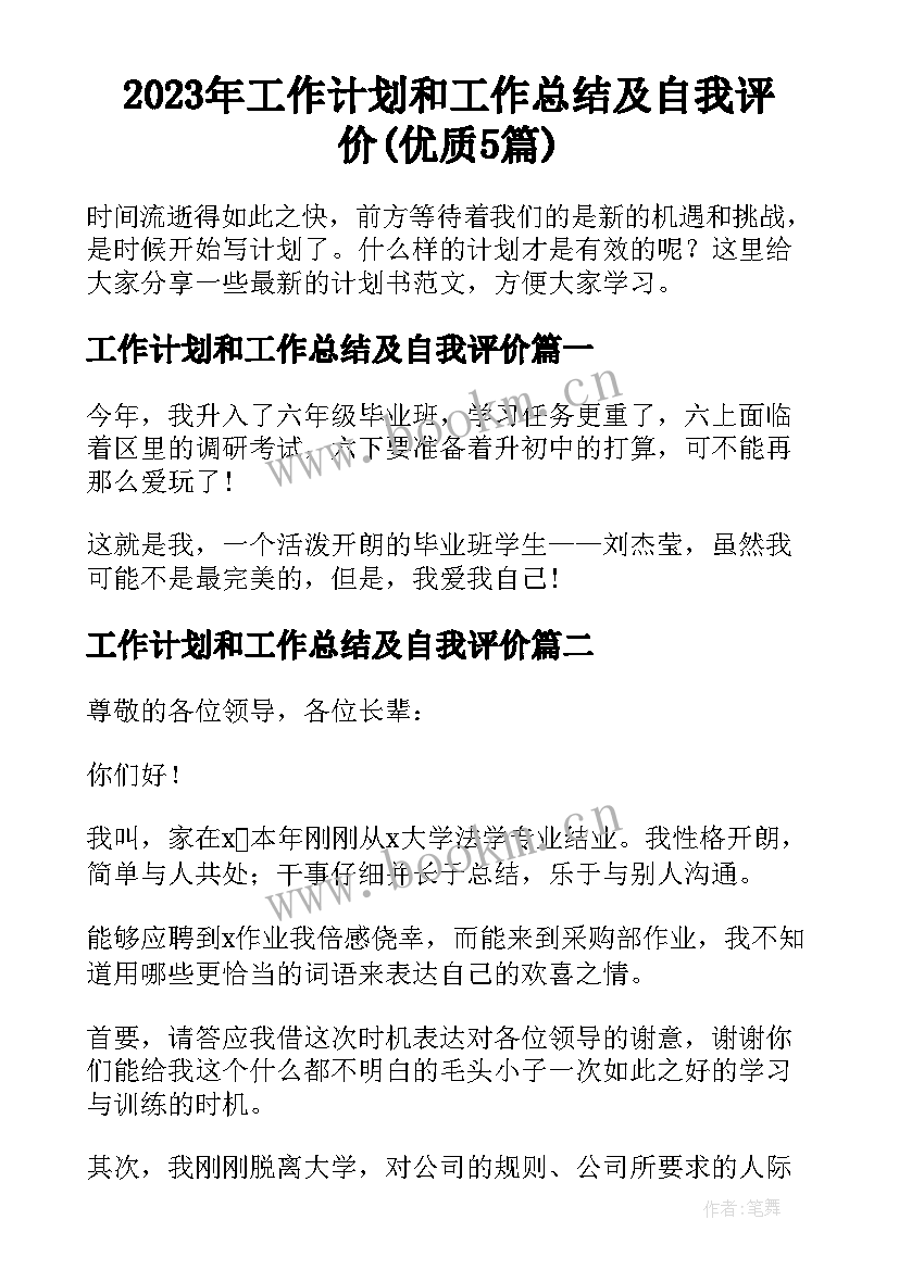 2023年工作计划和工作总结及自我评价(优质5篇)