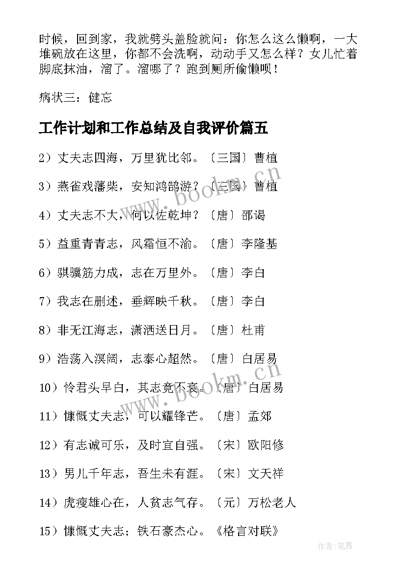 2023年工作计划和工作总结及自我评价(优质5篇)