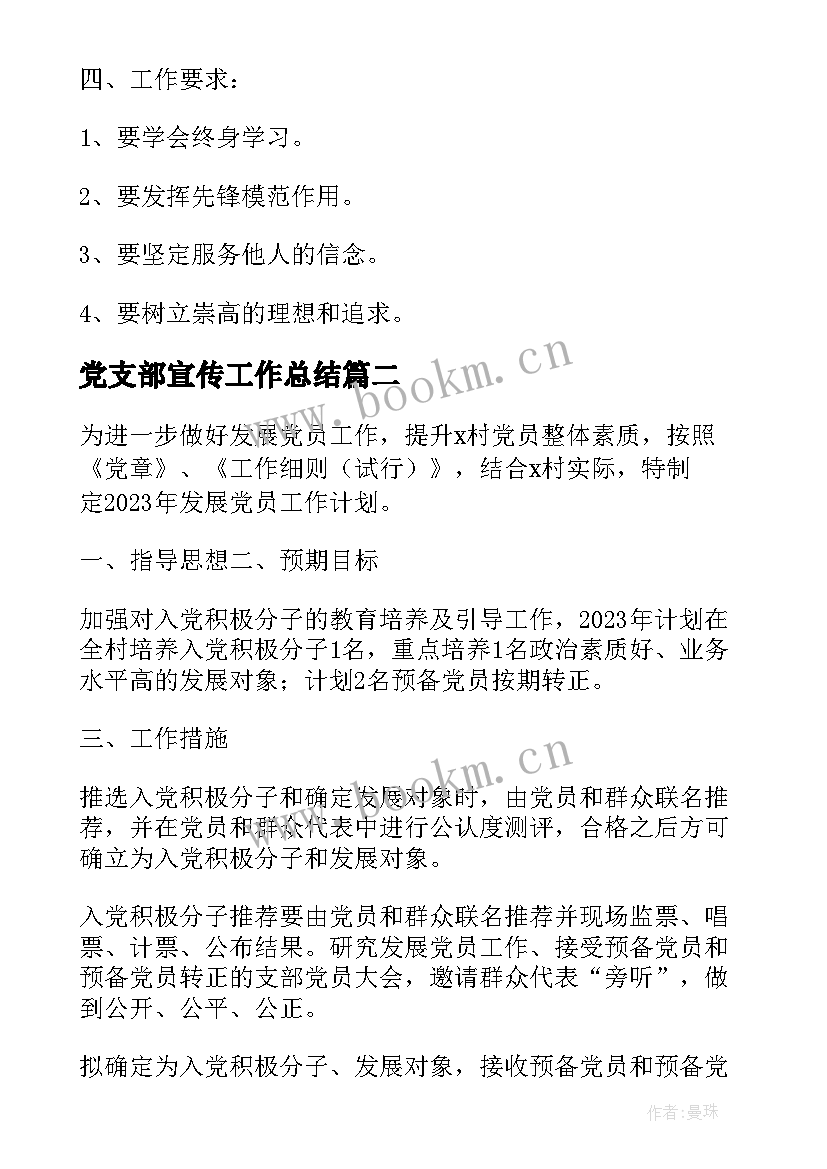 2023年党支部宣传工作总结 支部工作计划与安排(汇总5篇)