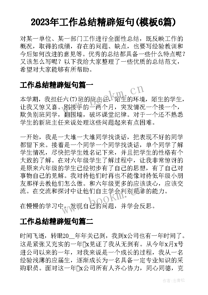 2023年工作总结精辟短句(模板6篇)