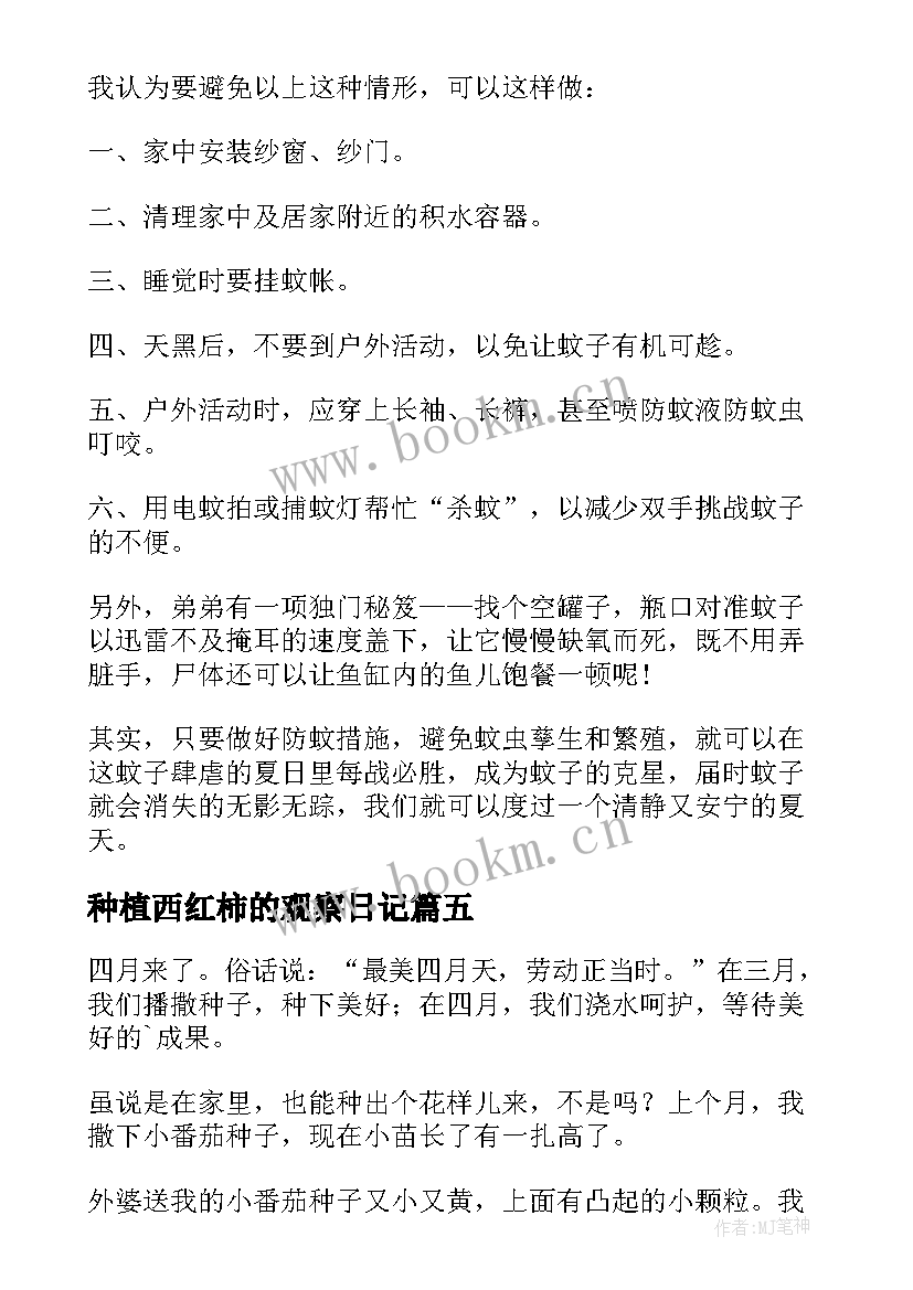 种植西红柿的观察日记(优秀9篇)