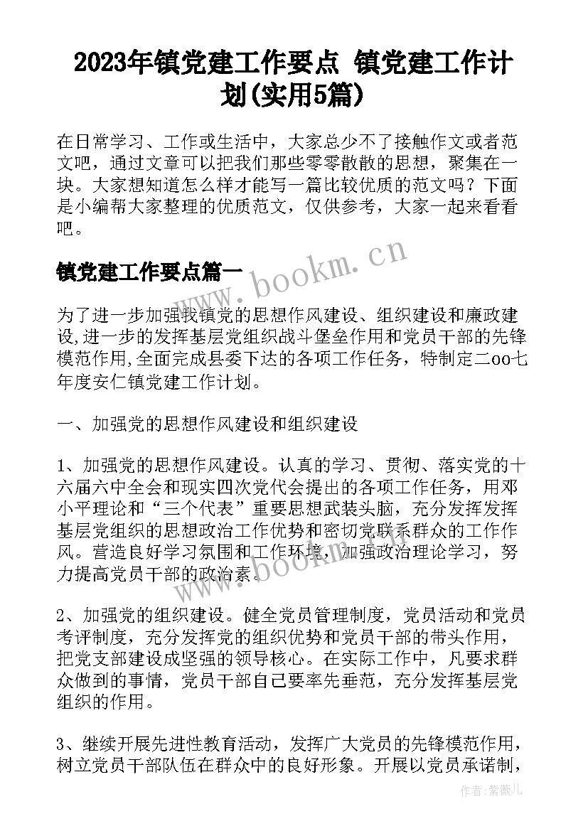 2023年镇党建工作要点 镇党建工作计划(实用5篇)