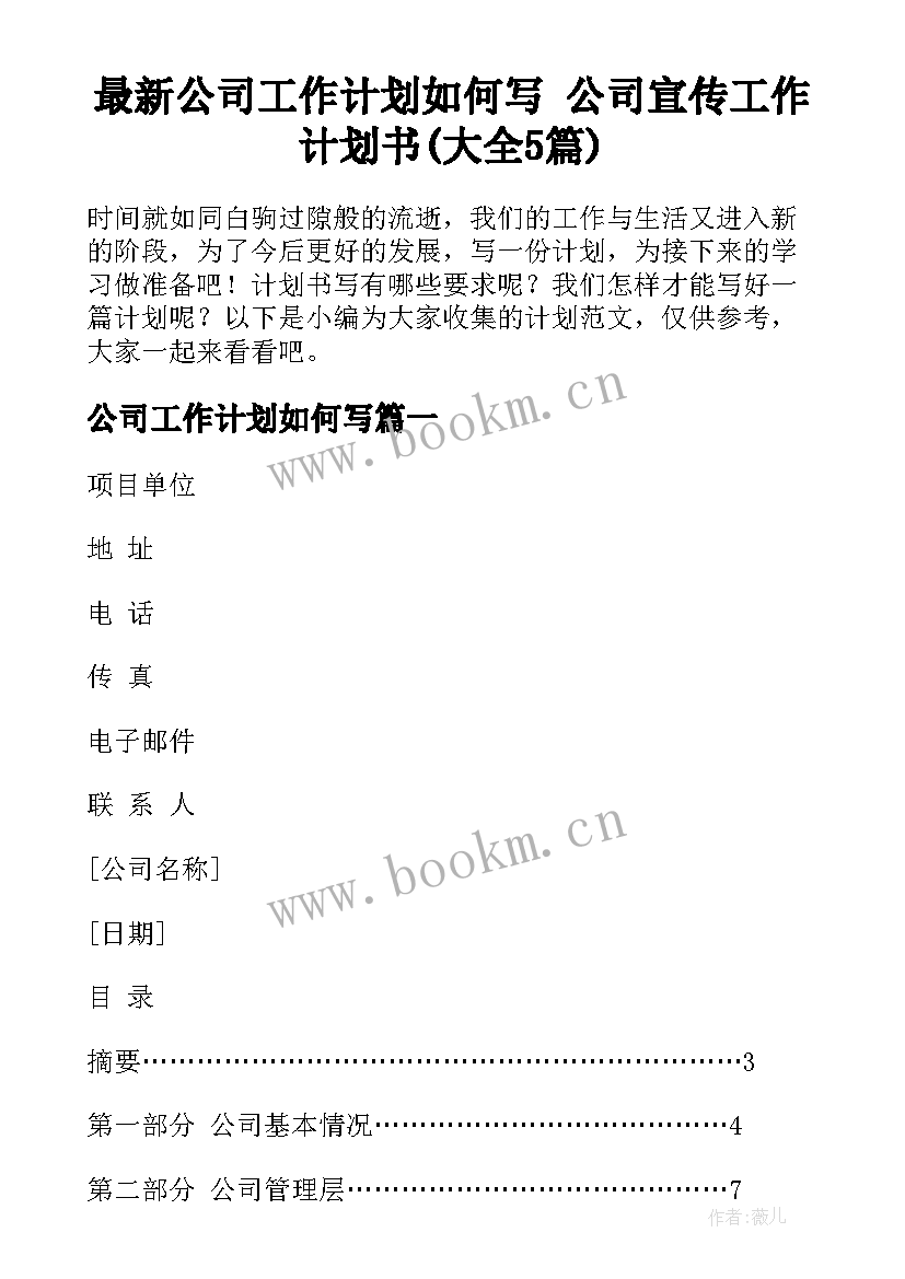 最新公司工作计划如何写 公司宣传工作计划书(大全5篇)