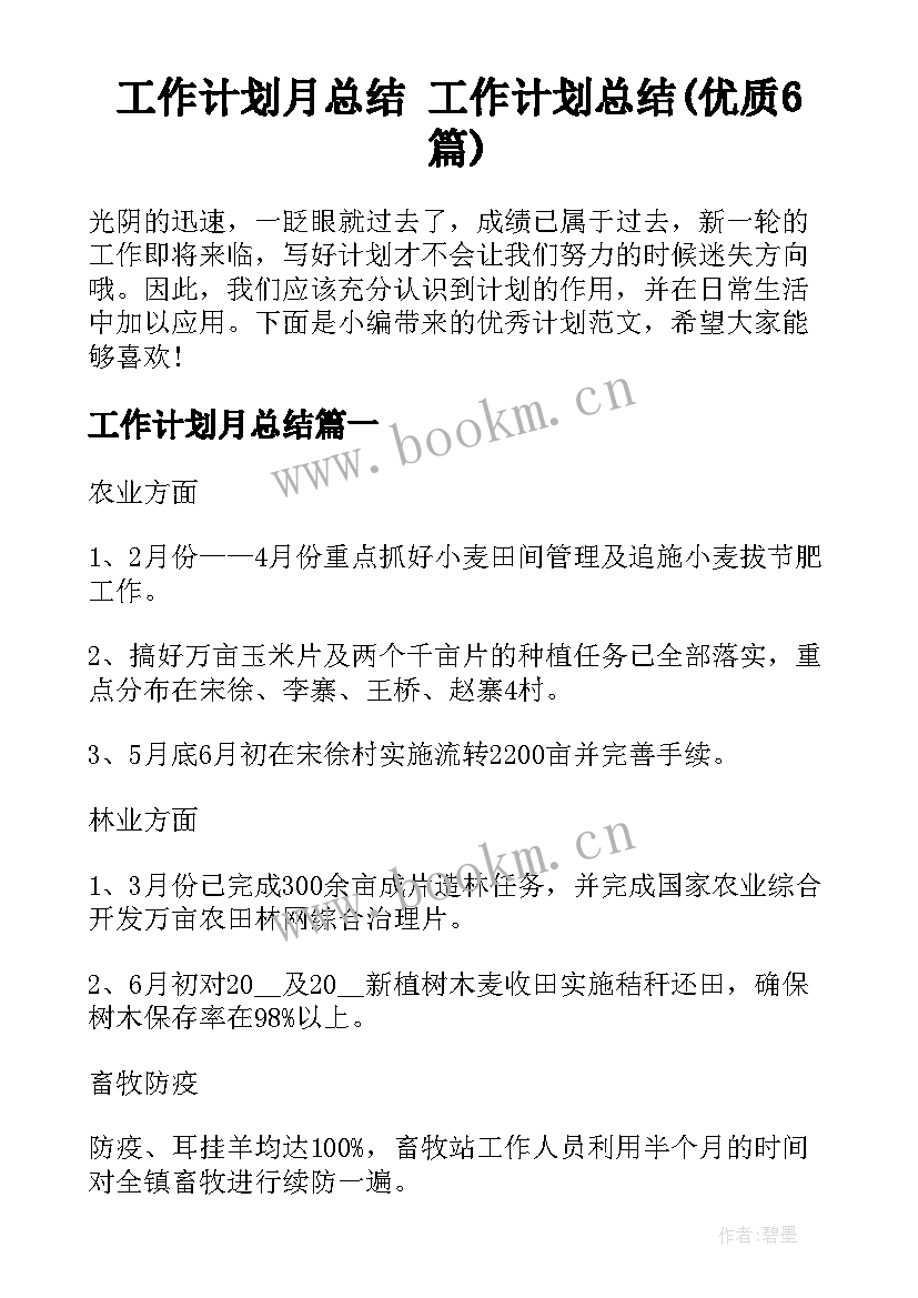 工作计划月总结 工作计划总结(优质6篇)