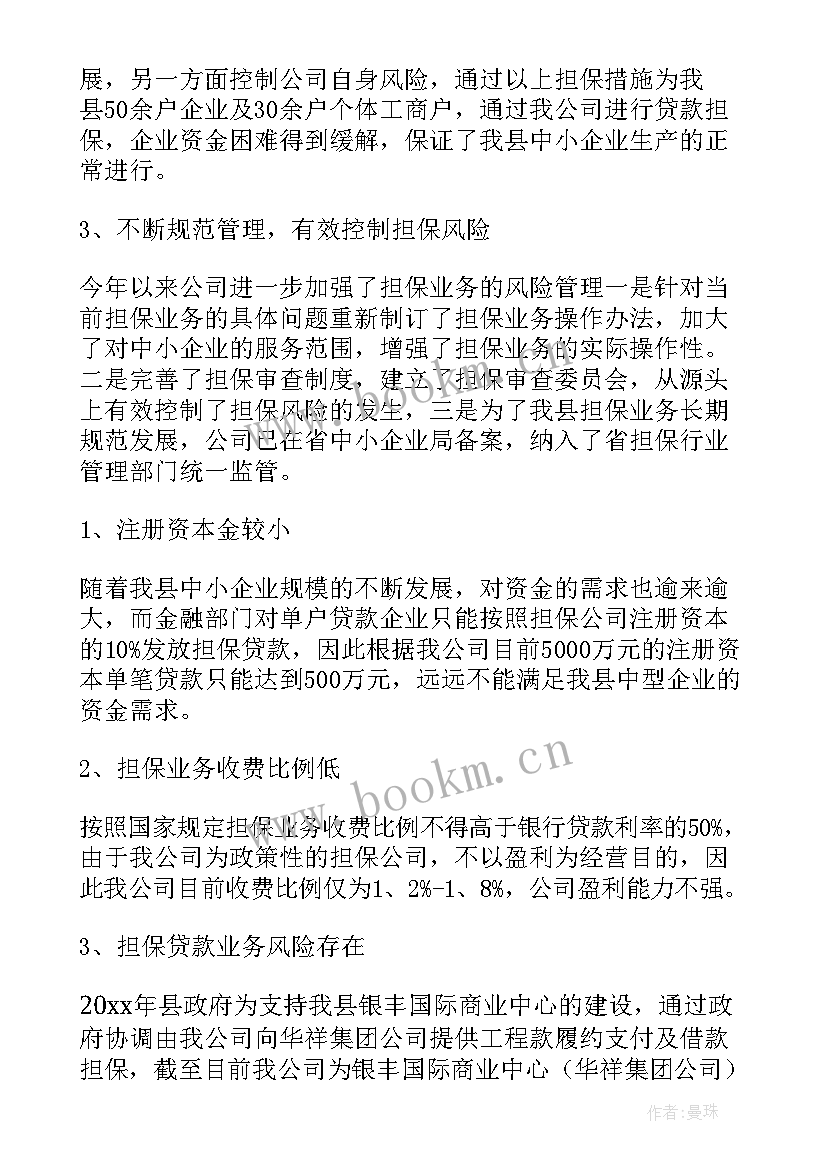 最新担保行业工作总结(汇总5篇)