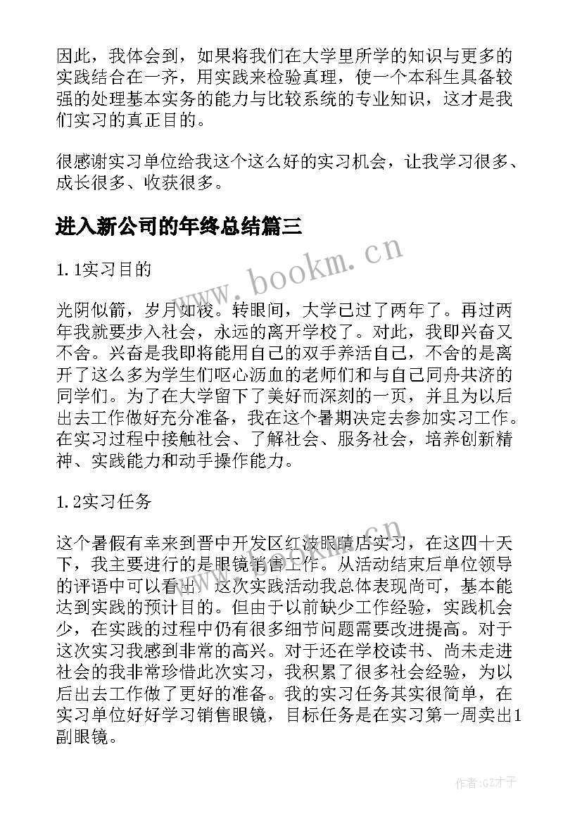 最新进入新公司的年终总结(大全8篇)