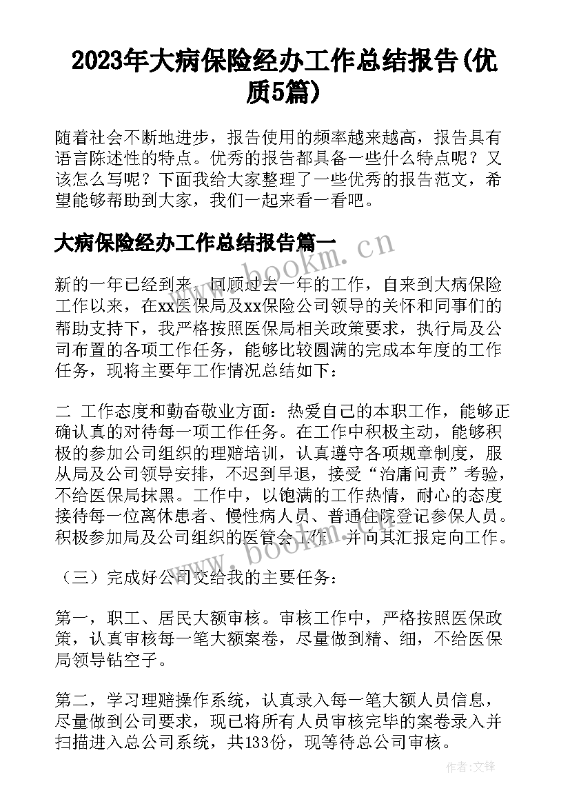 2023年大病保险经办工作总结报告(优质5篇)