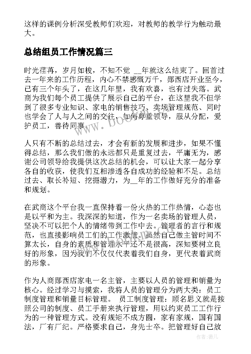 2023年总结组员工作情况 访谈文案工作总结(优秀9篇)