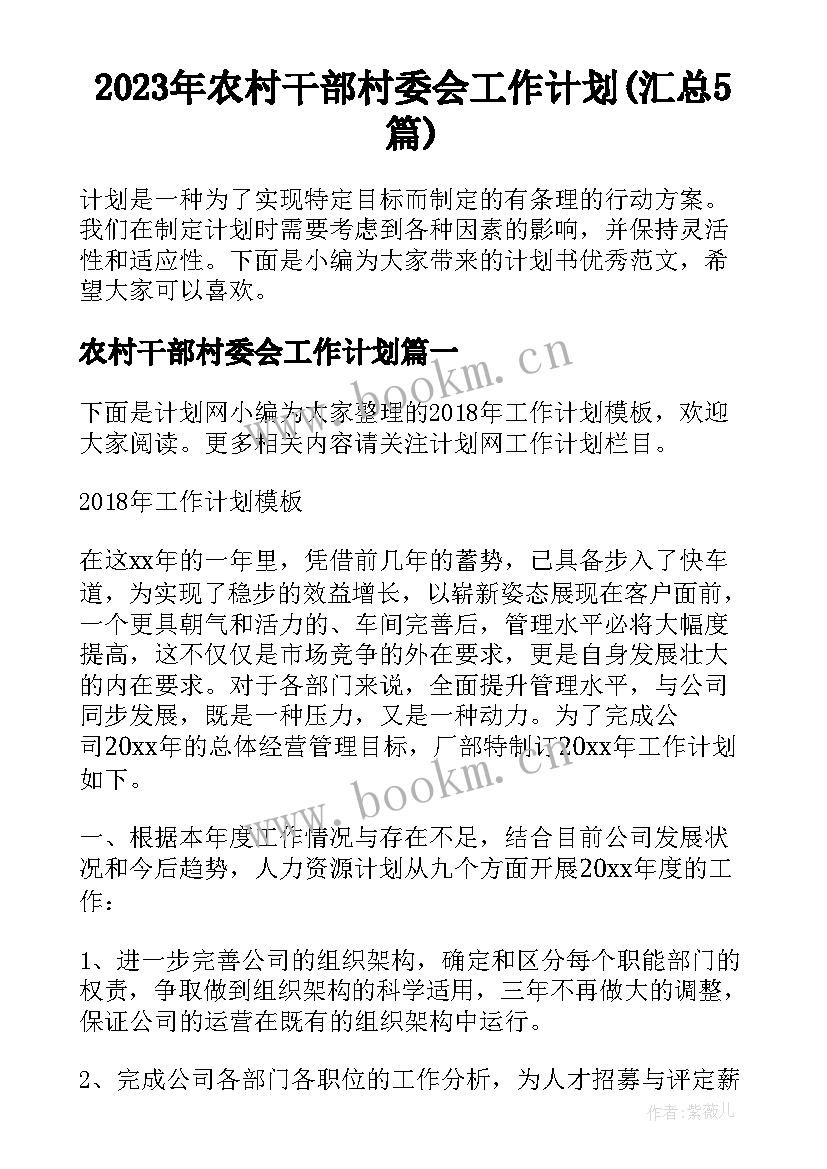 2023年农村干部村委会工作计划(汇总5篇)