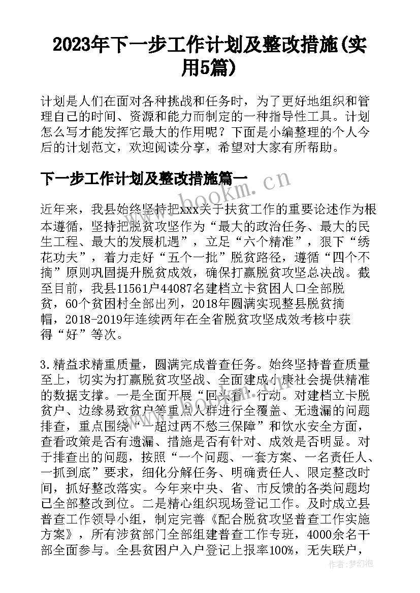 2023年下一步工作计划及整改措施(实用5篇)