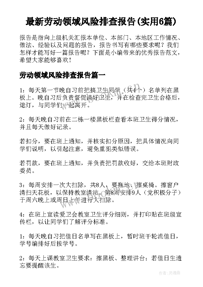 最新劳动领域风险排查报告(实用6篇)