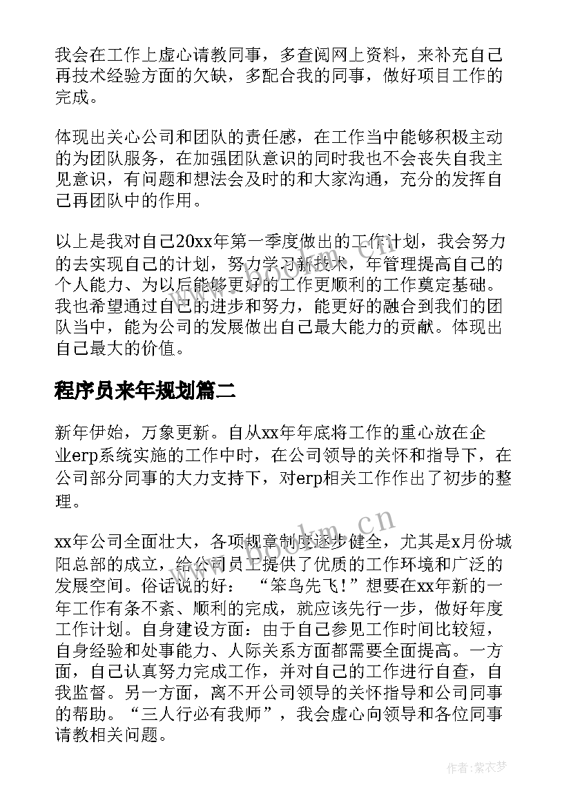 最新程序员来年规划 程序员工作计划(大全5篇)