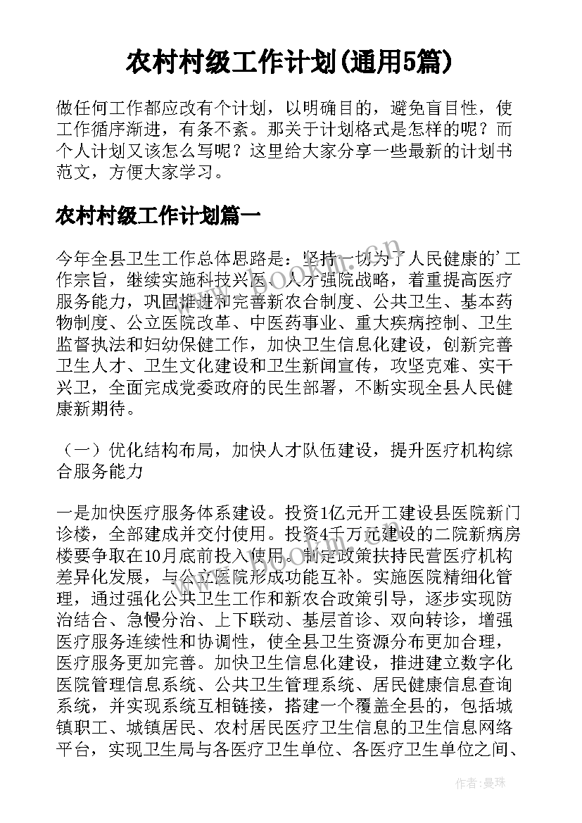 农村村级工作计划(通用5篇)