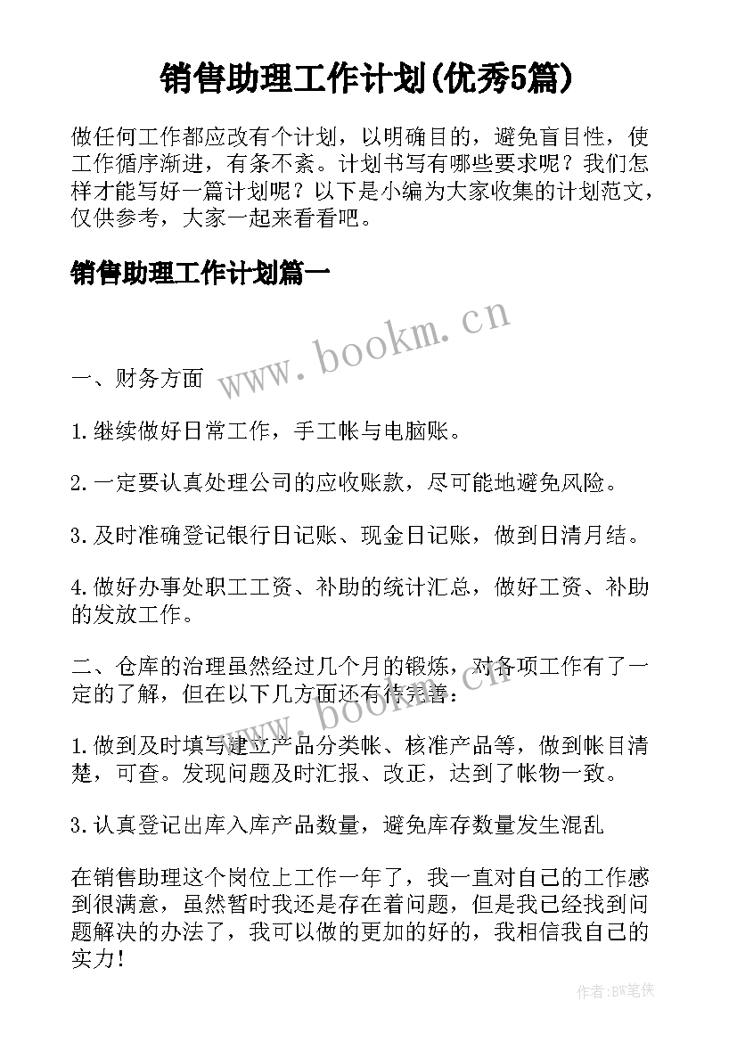 销售助理工作计划(优秀5篇)