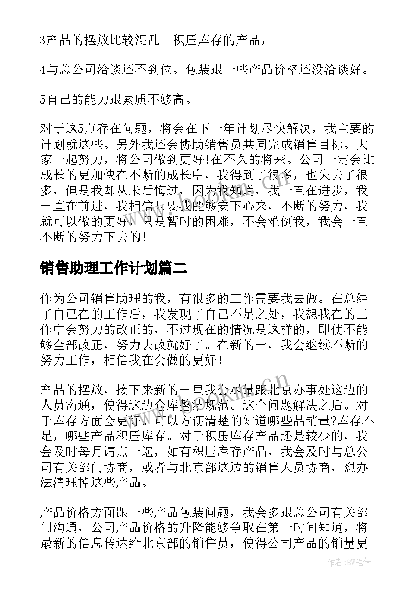 销售助理工作计划(优秀5篇)