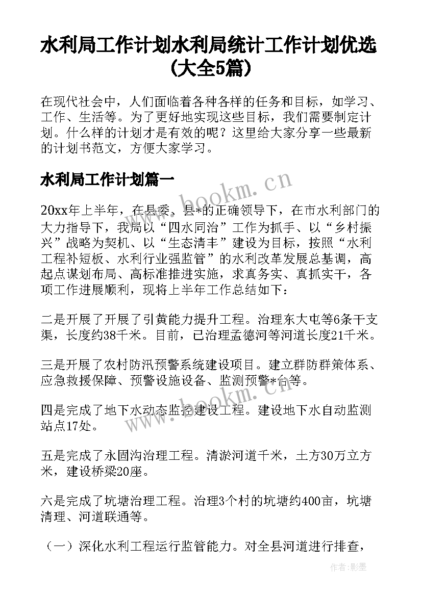 水利局工作计划 水利局统计工作计划优选(大全5篇)