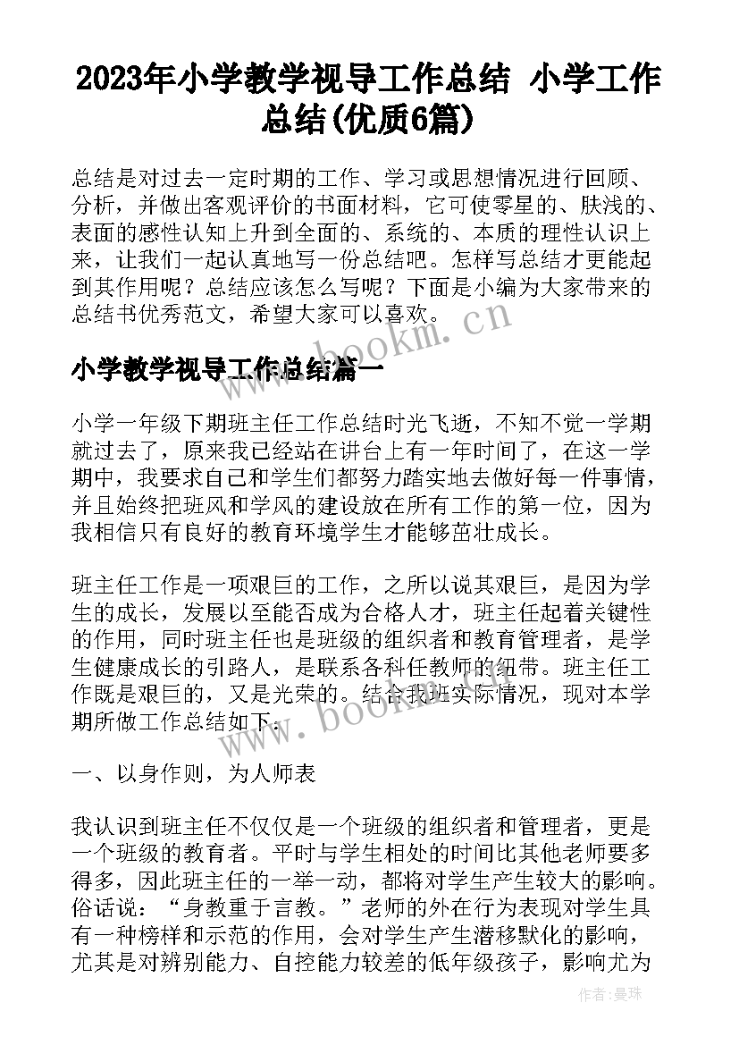 2023年小学教学视导工作总结 小学工作总结(优质6篇)